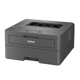 Brother HL-L2400DW Laser monochrome