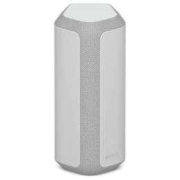 Enceinte Bluetooth Sony SRS-XE300 Gris